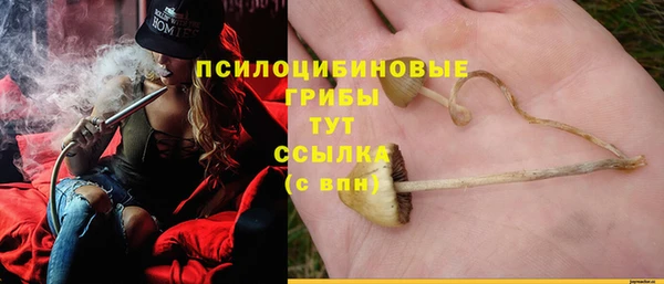 винт Алексин