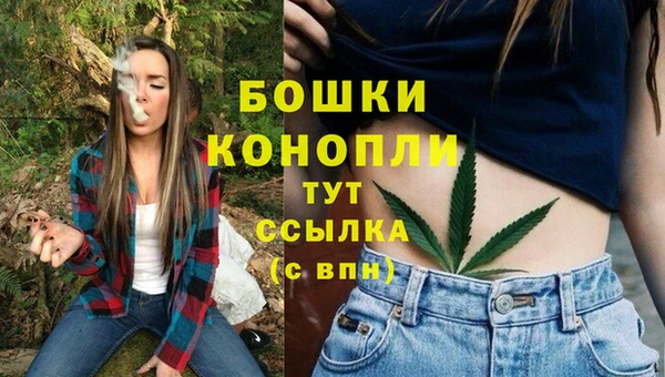 мдпв Осинники