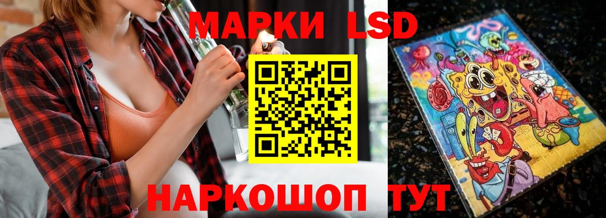 Бердск  LSD-25 экстази кислота  Вход с VPN  Лсд 25 экстази кислота 