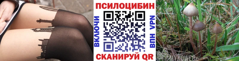 Галлюциногенные грибы Magic Shrooms Бердск