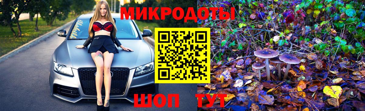 Псилоцибиновые грибы Psilocybine cubensis Бердск