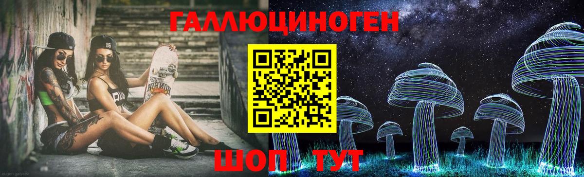 Бердск  Псилоцибиновые грибы мицелий  Вход с VPN 